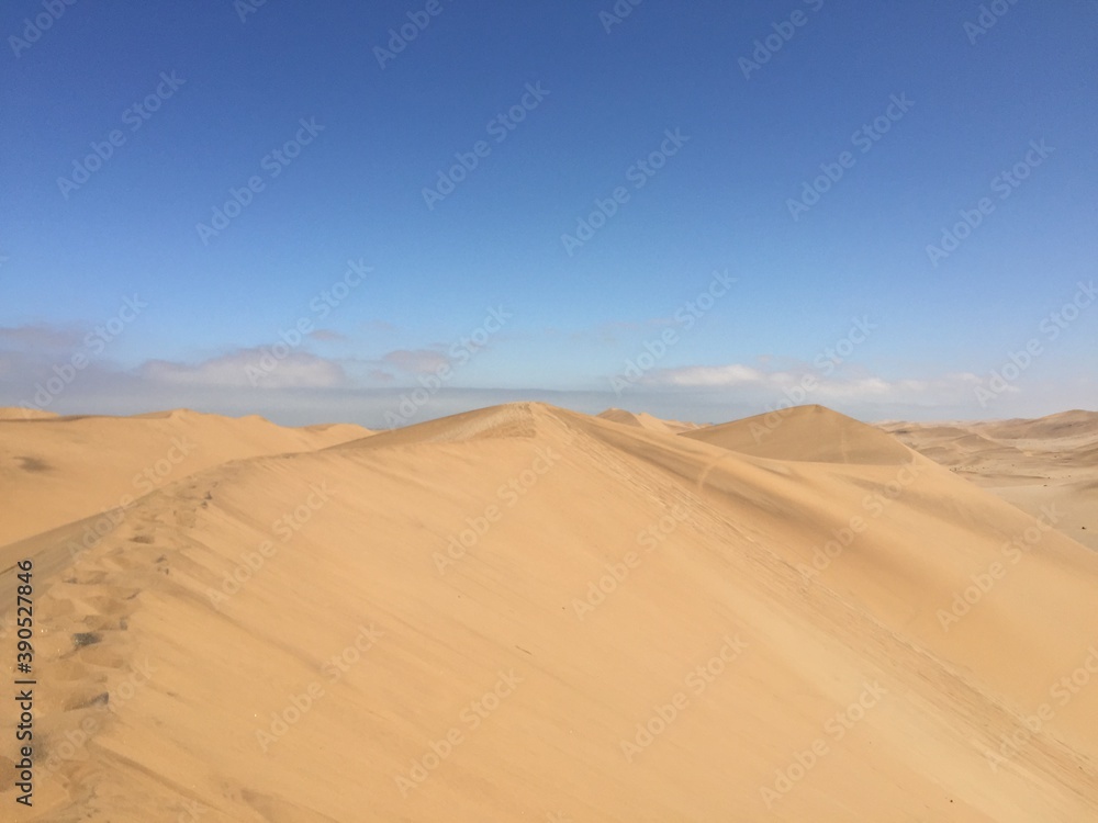 sand dunes in park