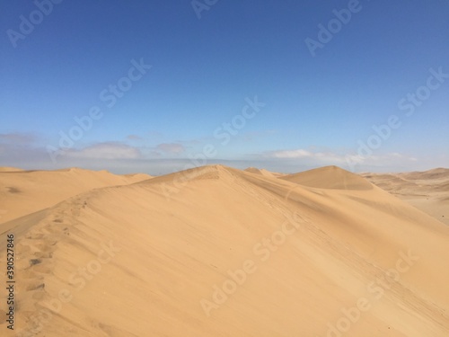 sand dunes in park