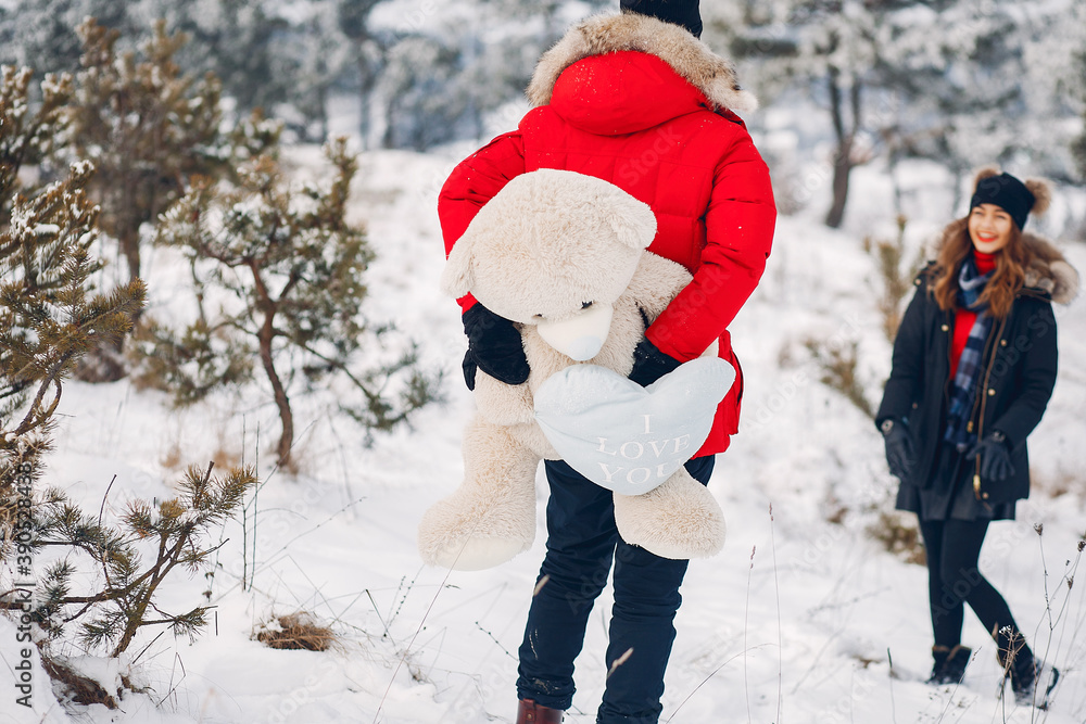Elegant couple in a winter park. Man in a black jacket. Lady with long hair Elegant couple in a winter park. Man in a black jacket. Lady with long hair