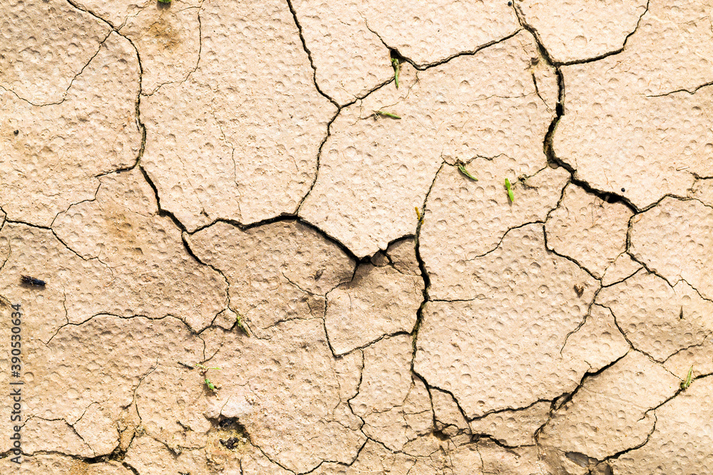 cracked soil in agricultural field cracked soil in agricultural field