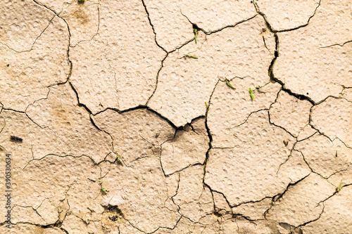 cracked soil in agricultural field