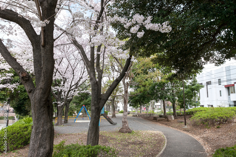 池尻公園(神奈川県横浜市青葉区荏田町) 池尻公園(神奈川県横浜市青葉区荏田町)