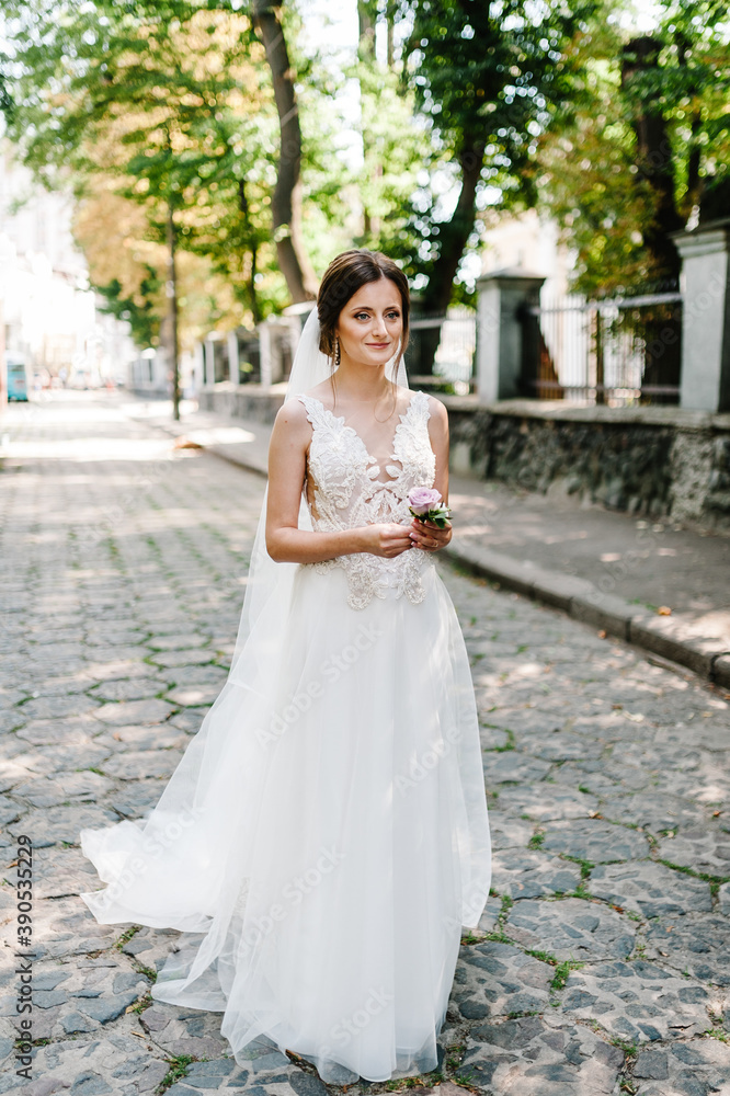 Beautiful bride in white dress is waiting for the groom in the park. Beautiful bride in white dress is waiting for the groom in the park.