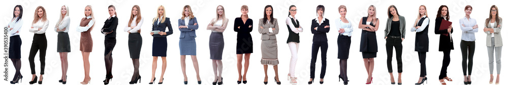 group of successful young businesswoman standing in a row group of successful young businesswoman standing in a row