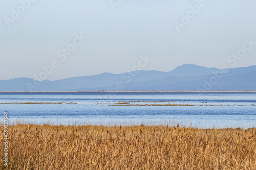 calm ocean over the marshland filled with brown grasses with mountain range over the horizon