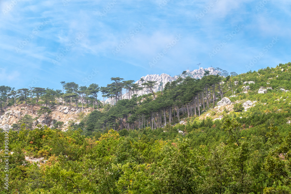 High rocky mountains on blue sky background. Green pine forest on the mountainside.