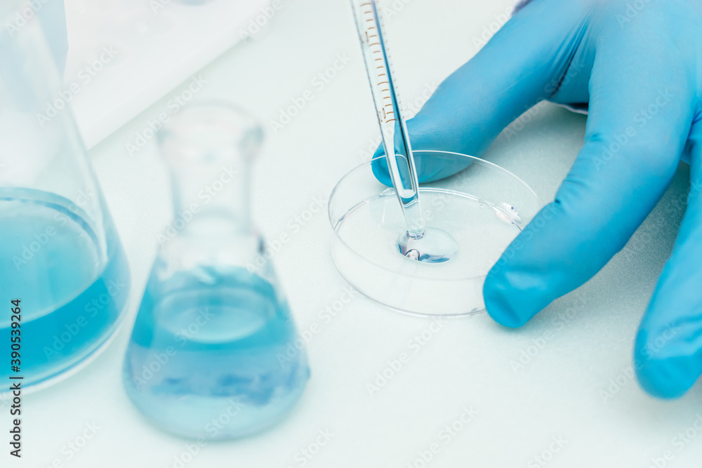 Close up of process of pipetting blue liquid from a flask into a Petri dish.Concept of chemical technology, biotechnology, pharmaceuticals.Selective focus with shallow depth of field, copy space
Close up of process of pipetting blue liquid from a flask into a Petri dish.Concept of chemical technology, biotechnology, pharmaceuticals.Selective focus with shallow depth of field, copy space