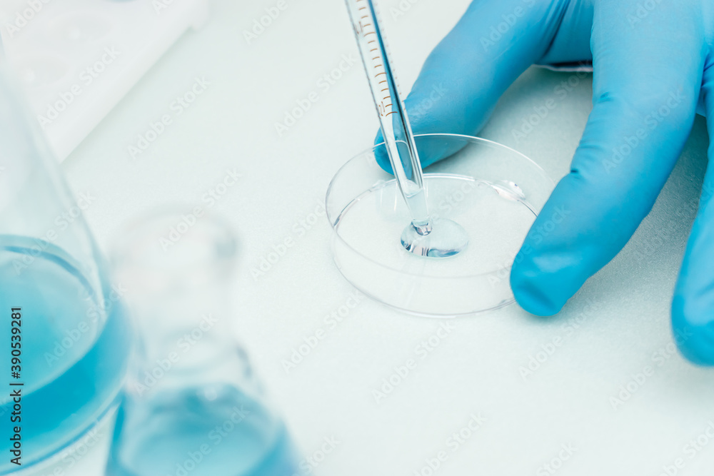 Fototapeta premium Close up of process of pipetting blue liquid from a flask into a Petri dish.Concept of chemical technology, biotechnology, pharmaceuticals.Selective focus with shallow depth of field, copy space 