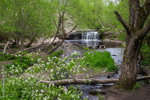 Beautiful summer landscape. A waterfall in a small river canyon. Travel and ecological tourism in Russia. Sablinsky waterfall, Sablinka river, Ulyanovka (Sablino), Leningrad region, Russia. photo