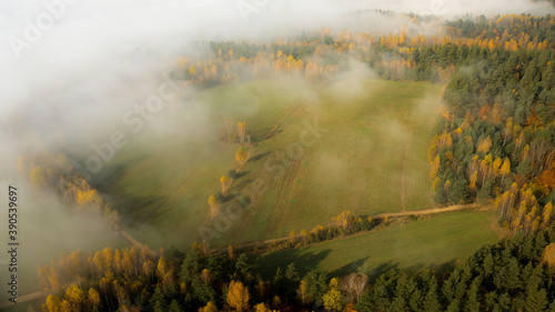 Obraz na płótnie Landscape with fog and hills on an epic autumn morning w salonie