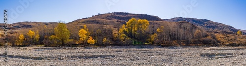Yellow autumn trees on shore of a dried mountain river