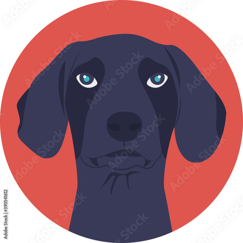 
Dogs are domesticated mammals, not natural wild animals 
