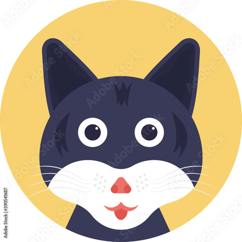
Cat with strange expressions 
