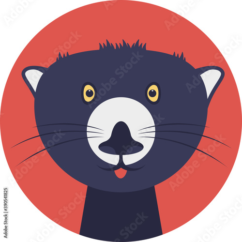 
Cat, a small domesticated carnivorous mammal with soft fur, it is widely kept as a pet 
