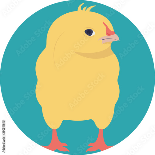 
Chick, a young bird, especially one newly hatched 
