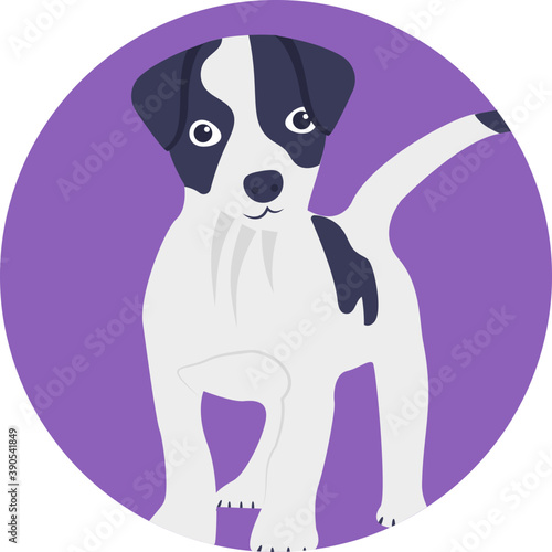 
Dogs are domesticated mammals, not natural wild animals 
