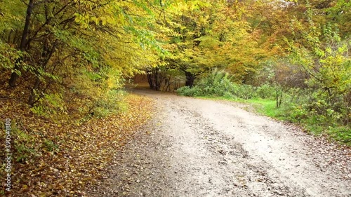 Dirt Road Through Autumn Leaf Color Forest During Fall Season In Hoia Forest, Cluj-Napoca. - Dolly - Forward Shot photo