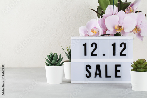 12 sale text on white lightbox among the plants in pots