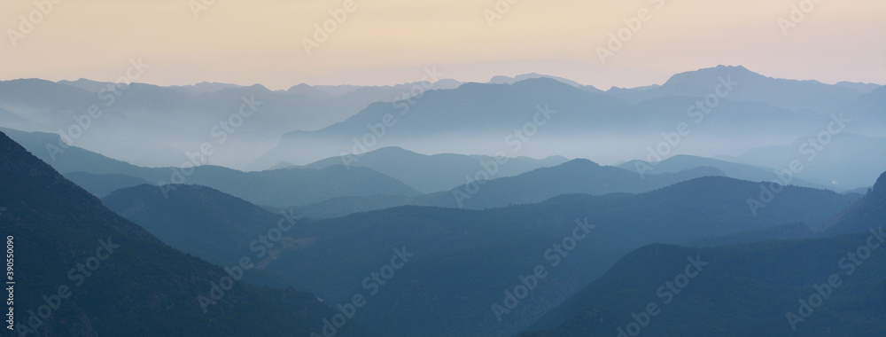 Mist Valley
