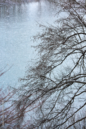 奥会津の雪景色 枯れ枝