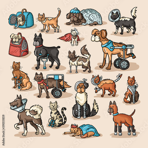 Vector colorful set on the theme of pets, veterinary care, veterinary medicine. Сartoon animals with disabilities, with injuries, fractures. Isolated doodles of cats and dogs for use in design