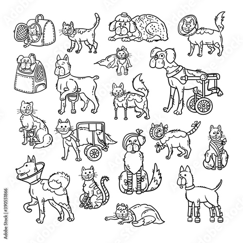 Vector set on the theme of pets, veterinary care, veterinary medicine. Сartoon animals with disabilities, with injuries, fractures. Isolated cats and dogs for use in design
