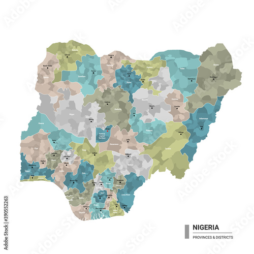 Nigeria higt detailed map with subdivisions. Administrative map of Nigeria with districts and cities name, colored by states and administrative districts. Vector illustration  photo