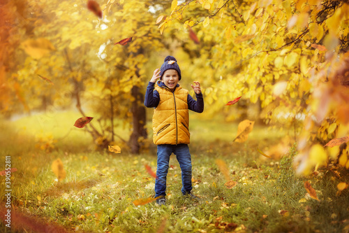 boy child walks in the Park in autumn, October, yellow foliage, Golden autumn, happy childhood