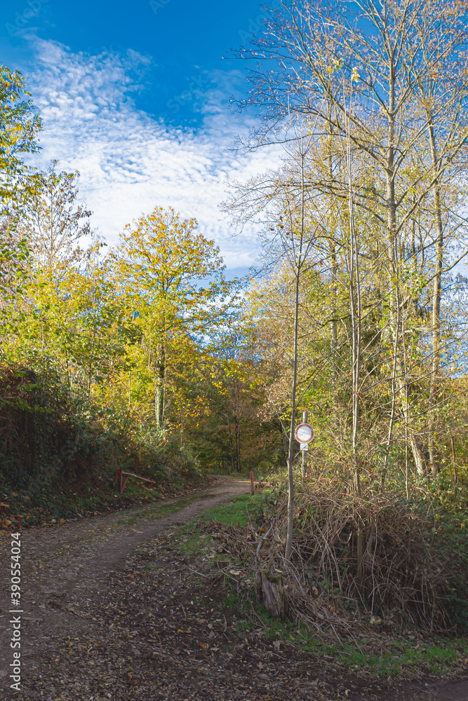 Waldweg