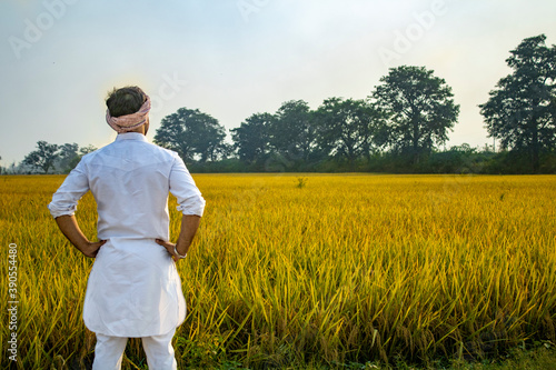Farmer looking at his beautiful contrasting field photo