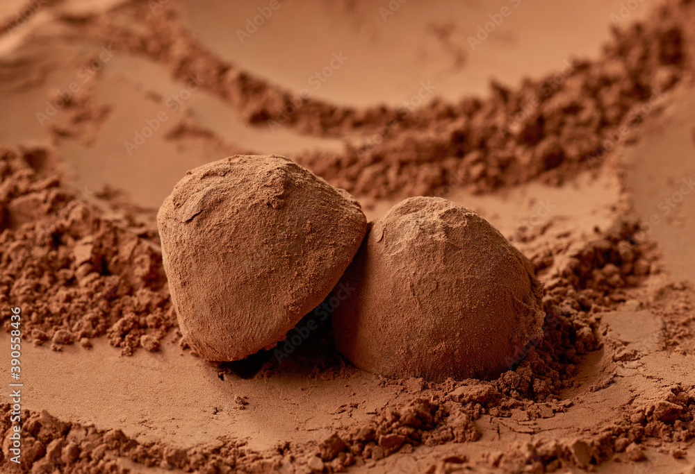 chocolate truffles on cocoa powder background chocolate truffles on cocoa powder background