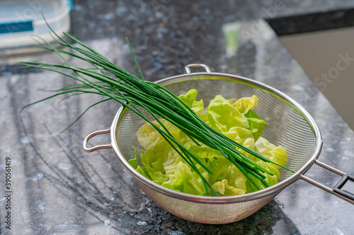 .A colander with freshly cleaned lettuce and chives
