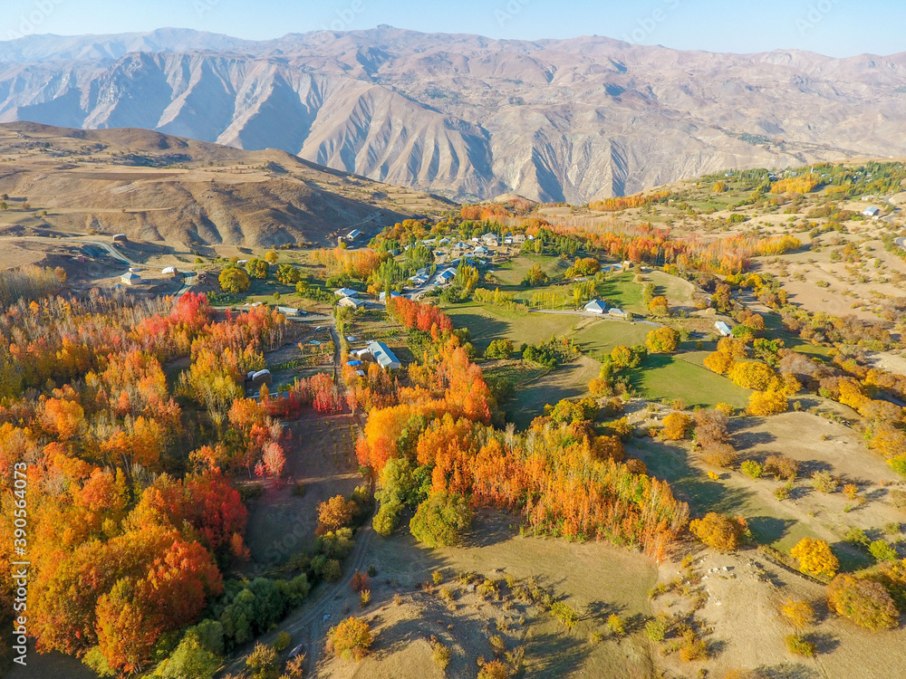 autumn season, colorful trees and mountains, natural landscape.