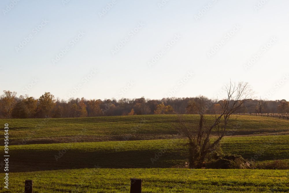 Fototapeta premium Midwest rolling hills in a field on a sunny autumn day with no people 