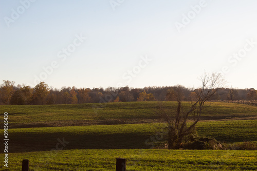 Midwest rolling hills in a field on a sunny autumn day with no people 