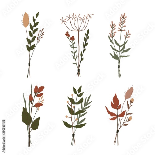 Set of floral elements. Botanical collection. bunches of wild herbs. Flowers  leaves  branches and other natural elements.