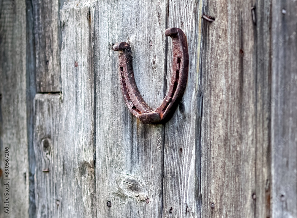 Old rusty metal horseshoe close-up against the old boards of the barn