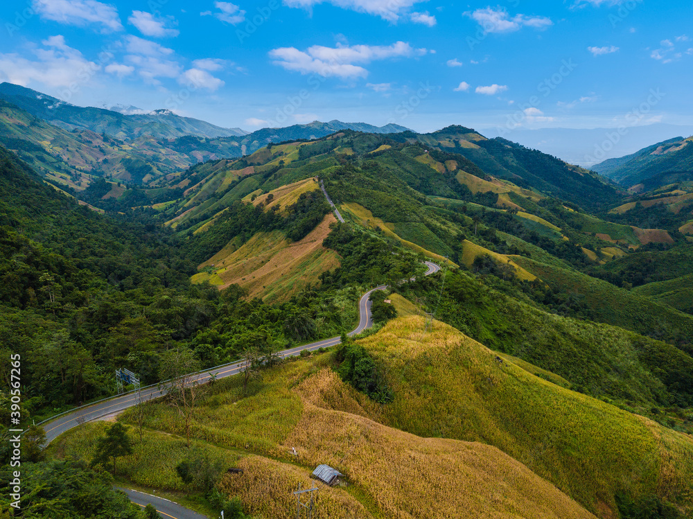 Aerial view of the road over mountain in autumn