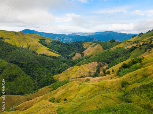 Mountain view with yellow rice field and sky background