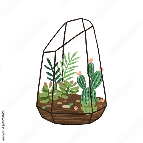 Hand drawn terrarium with succulents and cactuses composition. Stylish decorative mini garden isolated on white background. Flat vector cartoon illustration of glass geometric florarium