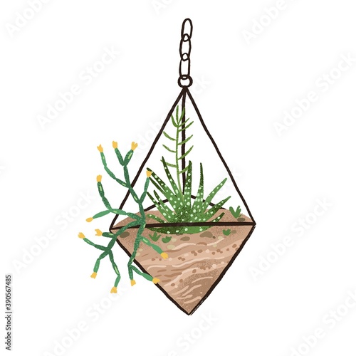 Glass geometric hanging florarium in modern scandinavian style. Plant terrarium with succulents composition. Mini garden isolated on white background. Flat vector cartoon illustration