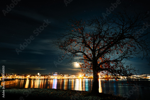 Night scape of Oslo, Norway. Shot from Bygdøy at the Fram museum.  photo