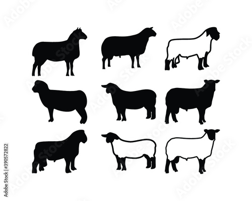 Show Sheep Clipart Silhouette