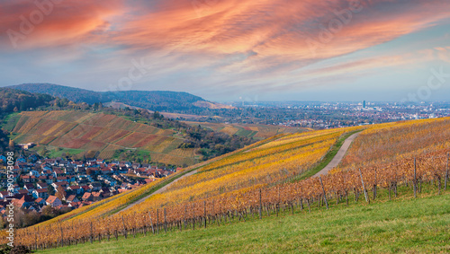Struempfelbach - Vineyards at Weinstadt region - beautiful landscape in autum close to Stuttgart, Baden-Wuerttemberg, Germany