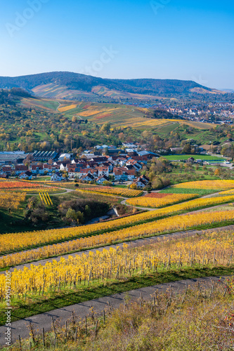 Struempfelbach - Vineyards at Weinstadt region - beautiful landscape in autum close to Stuttgart  Baden-Wuerttemberg  Germany