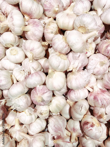 Full frame of heads of garlic as background.
