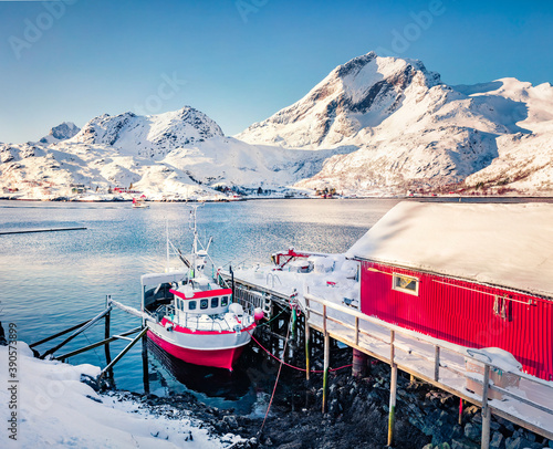 Bright winter view of small fishing village - Molnarodden, Lofoten Islands, Norway, Europe. Wonderful morning seascape of Norwegian sea, Islendingen fjord. Traveling concept background. photo