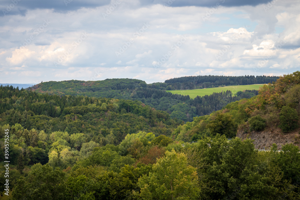 Green trees on a summer day near Bernkastel-Kues,, Germany.