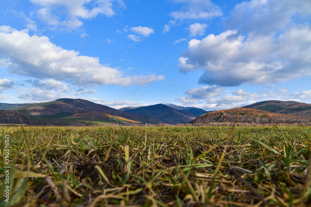 Sakhalin meadows Sakhalin meadows