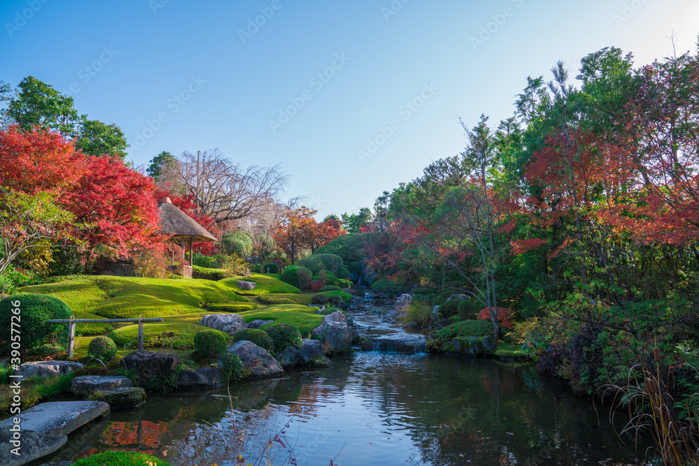 京都　妙心寺　退蔵院の紅葉